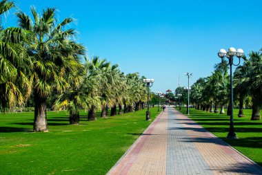 Dubai, Birleşik Arap Emirlikleri 16 Ocak 2020: Mamzar Parkı 'ndaki güzel yeşil çimenlik alan El Mamzar Sahili Dubai' nin mavi gökyüzü, dinlenme parkı.