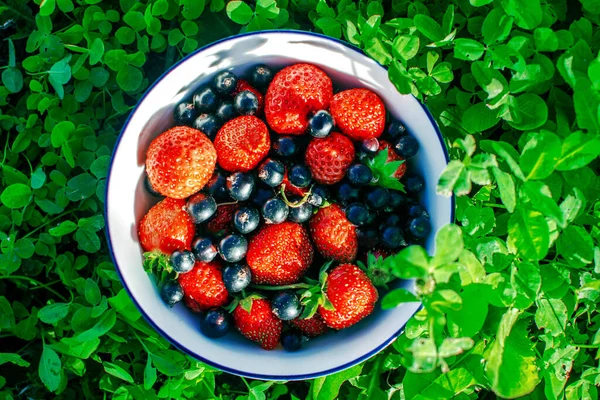 Bowl with a variety of berries on the garden against the backdrop of summer foliage. — Stock Photo, Image