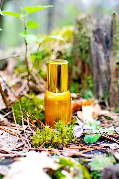 Perfume Bottle Natural Background Natural Ingredients Eco Friendly Materials — Stock Photo, Image