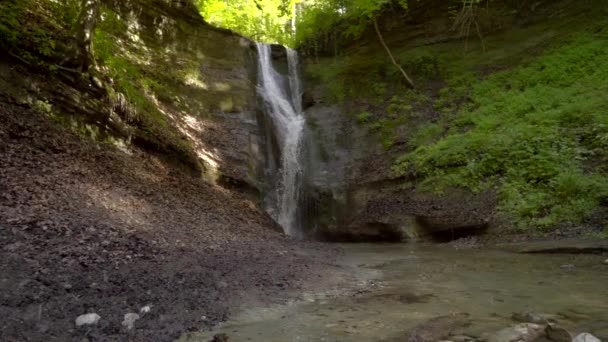 Piccola Bella Cascata Nel Parco Nella Foresta — Video Stock