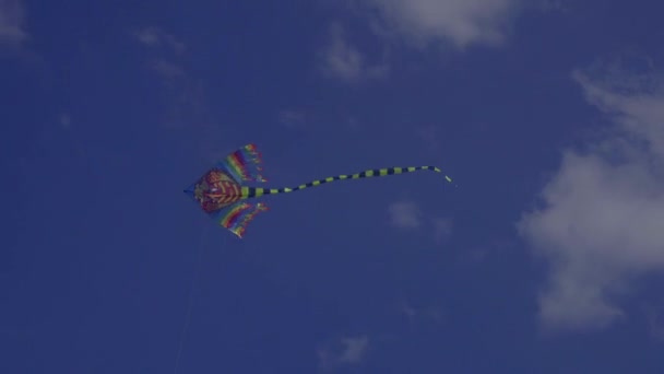Mavi Gökyüzünde Uçan Renkli Uçurtmanın Düşük Açılı Görüntüsü — Stok video