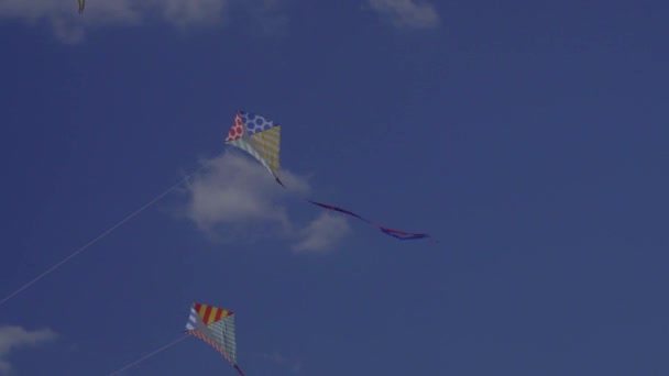 Lage Hoek Uitzicht Van Kleurrijke Vliegers Vliegen Blauwe Lucht — Stockvideo