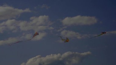 Mavi gökyüzünde uçan renkli uçurtmaların alçak açılı görüntüsü