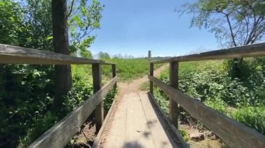 Nehrin üzerindeki köprü ve güneşli bir günde yeşil bitkiler