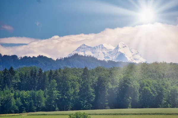 Güneşli bir günde yeşil bitki örtüsü ve karla kaplı dağlarla muhteşem bir manzara.