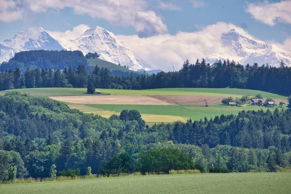 Bellissimo Paesaggio Con Vegetazione Verde Montagne Innevate All Orizzonte Nella — Foto Stock