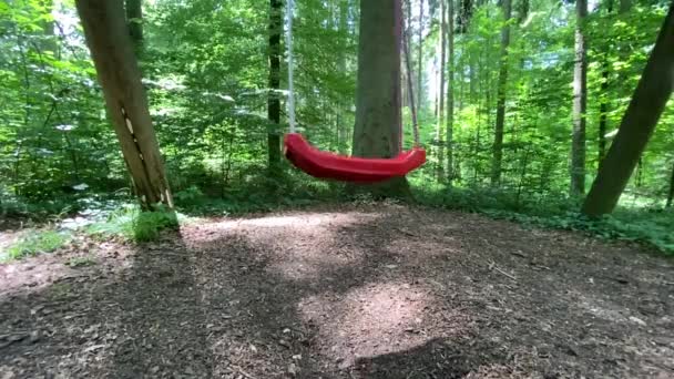 Red Swings Green Park Sunny Summer Day — Stock Video