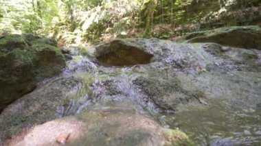 Şelale ormandaki taşların üzerinden akıyor.