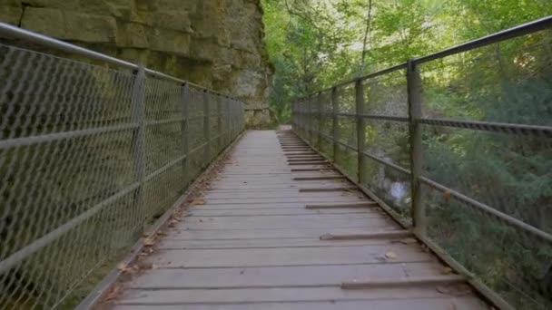 在阳光明媚的日子里 河上的桥和青翠的植物 — 图库视频影像
