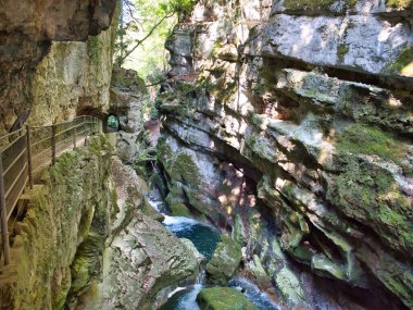 view of canyon, beautiful nature landscape in Biel, Bern, Switzerland