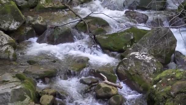 Повільний Рух Гірської Річкової Води Тече — стокове відео