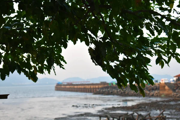 A port beside the sea,with a tree in the foreground.