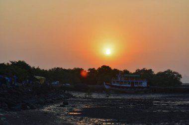 Okyanusta günbatımında çekilen çalıların silueti..