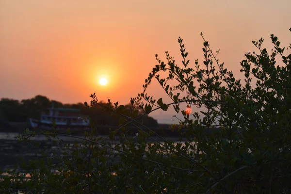 Silhouette image of bushes near a sea port captured during sunset.