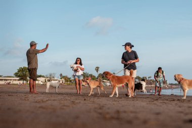 Gün batımında sahilde köpekleri gezdiren Bali yerlileri