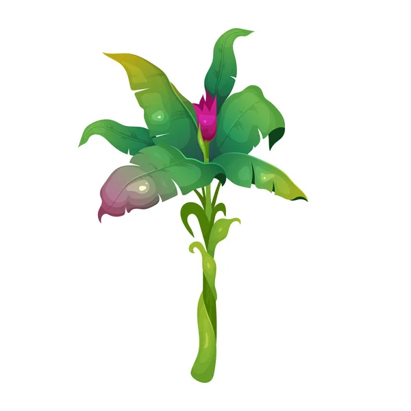 Ζούγκλα Βλάστηση Απεικόνιση Διάνυσμα Κινουμένων Σχεδίων Υποτροπικός Θάμνος Ανθισμένα Λουλούδια — Διανυσματικό Αρχείο
