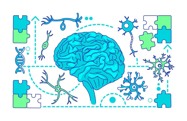 Neurología, neurociencia delgada línea concepto vector ilustración — Vector de stock