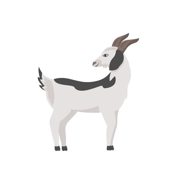 Chèvre avec des taches grises couleur plate caractère vecteur — Image vectorielle