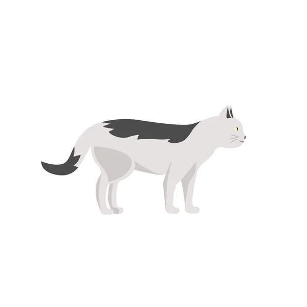 Blanco rayas gato plano color vector carácter — Vector de stock