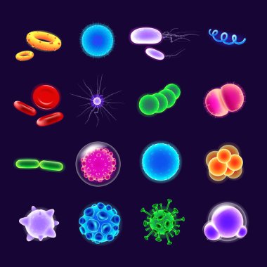 Bakteri gerçekçi vektör simgeleri ayarlandı. Patojen çizimi. Mikrobiyolojik araştırma. Koyu mavi arka planda mikroskop altında çeşitli şekillerdeki üç boyutlu renkli mikroorganizmaları izole ettik. Bakteri hücreleri paketlendi