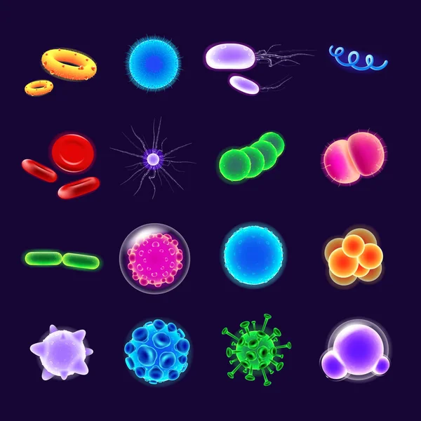 Bakteriální Realistické Vektorové Ikony Nastaveny Patogenní Ilustrace Mikrobiologický Výzkum Izolované — Stockový vektor