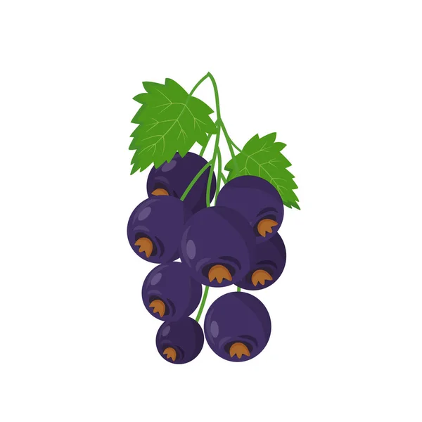 Black Currant Cartoon Vector Illustration Objek Warna Datar Buah Matang - Stok Vektor