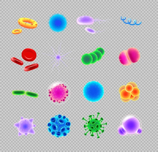 细菌和病毒现实的载体图标设置 病原体图解 血细胞 透明背景显微镜下三维分离的圆形和螺旋形彩色微生物 — 图库矢量图片