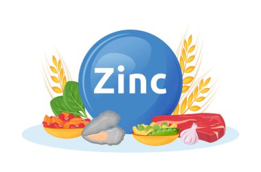 Çinko karikatür çizimi açısından zengin ürünler. Deniz mahsullerindeki mineraller, sığır eti. Sarımsak ve fındık sağlıklı gıdalar düz renkli nesneler. Sağlıklı beslenme beyaz arkaplanda izole edildi