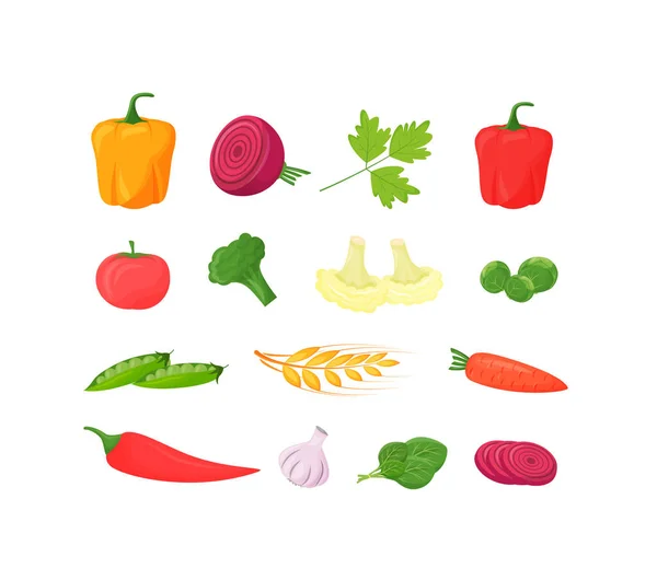 Vegetais Frescos Desenhos Animados Conjunto Ilustrações Vetoriais Pimenta Tomate Brócolis — Vetor de Stock