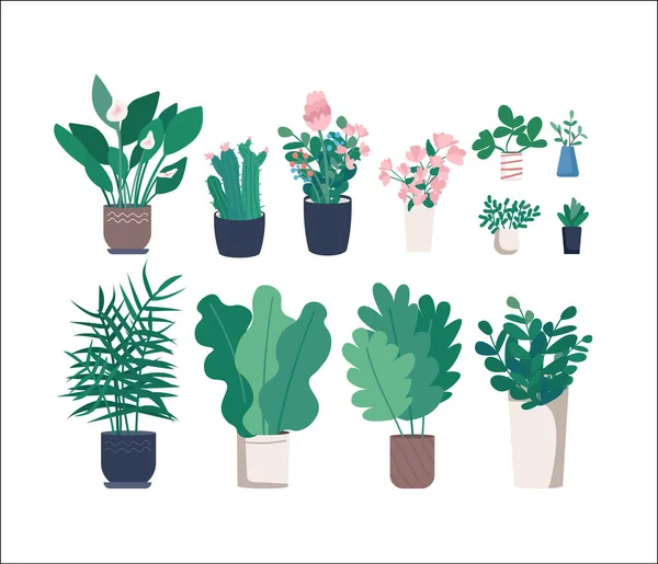 異なる観葉植物フラットカラーベクトルオブジェクトを設定します 自宅のオフィスの装飾 コンテナの中の花 鉢植えの様々な白い背景に2D孤立した漫画のイラスト — ストックベクタ