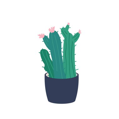 Çiçekli kaktüs karikatür vektör çizimi. Saksıda yapraklar olan kök. Konteynırdaki yapraklar ofis için. Saksı bitkisi düz renkli nesne. İç dekorasyon beyaz arkaplanda izole edildi