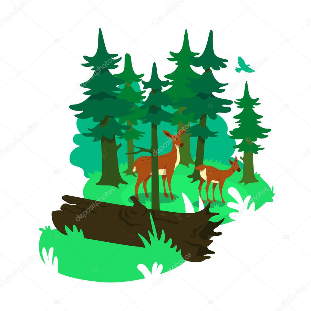 National park 2D vector web banner, poster. Natural habitat for deers. Wild animal conservation flat scenery on cartoon background. Wildlife conservation printable patch, colorful web element