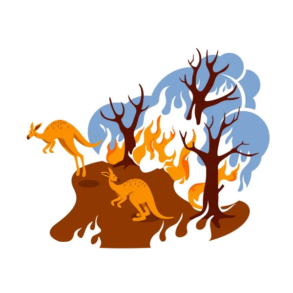 森林火灾2D矢量网页横幅 气候变化 自然灾害 在卡通片的背景下焚烧森林的平坦风景 澳大利亚野火可打印补丁 彩色Web元素 — 图库矢量图片