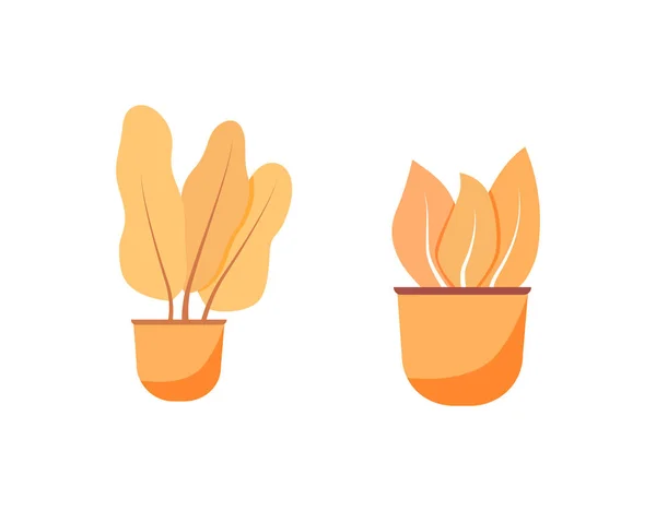 オレンジの観葉植物フラットカラーベクトルオブジェクトセット 鉢植え 花びらの中のシダ 花瓶にパーム インテリア装飾は ウェブグラフィックデザインとアニメーションコレクションのための孤立した漫画イラスト — ストックベクタ