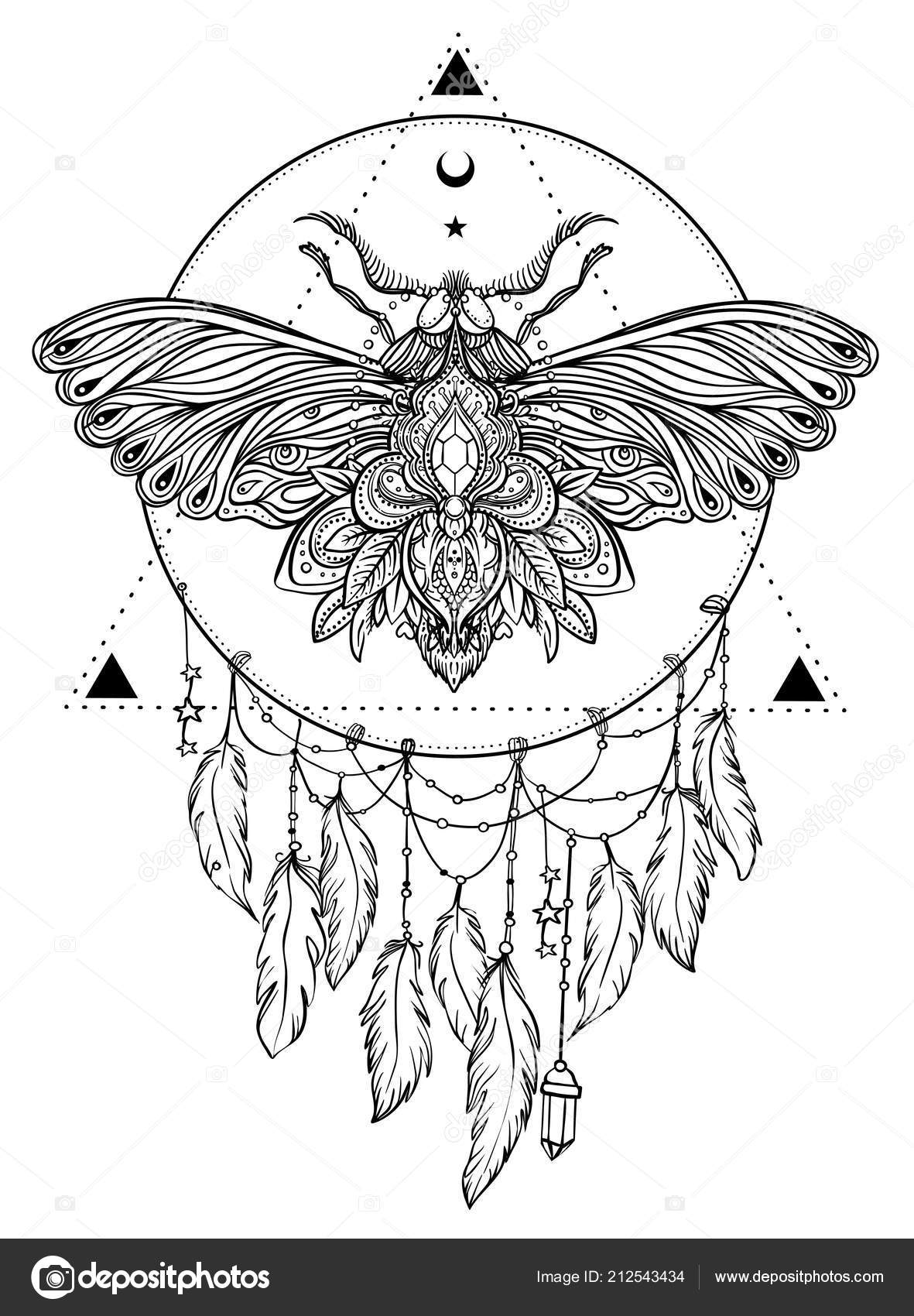 This is a graphic of Declarative Sacred Geometry Beetle Tattoo Drawing It's just a graphic of Declarative Sacred Geometry Beetle Tattoo Drawing