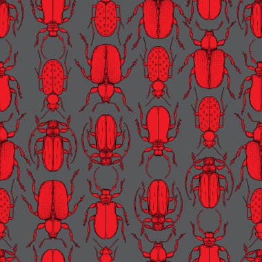 Vintage tarzı çizilmiş hata verir. Seamless modeli. Böcekleri illüstrasyon izole vektör. Doku Retro tekrarlama doğa ilham.