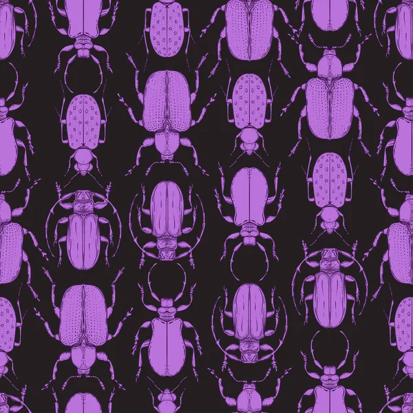 手工绘制的错误 老式风格 无缝模式 甲虫向量例证隔绝 复古重复自然灵感纹理 — 图库矢量图片
