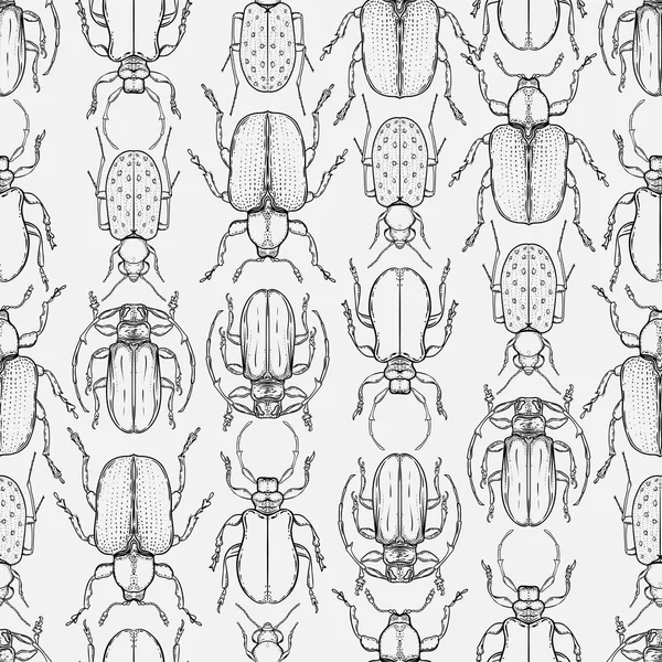 Errores Dibujados Mano Estilo Vintage Patrón Sin Costuras Escarabajos Vector — Archivo Imágenes Vectoriales