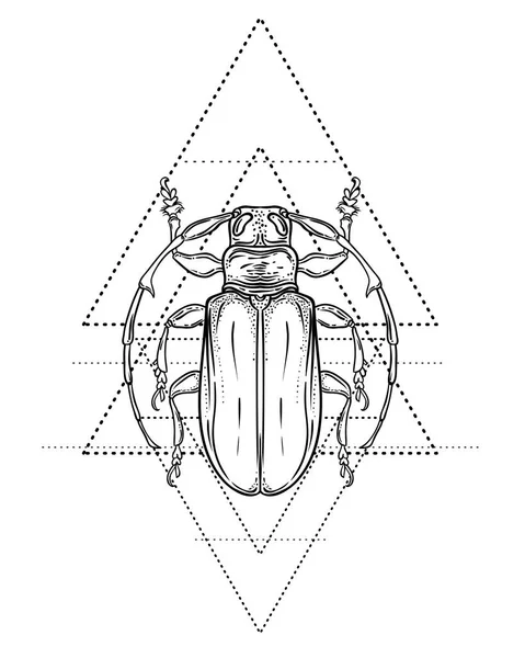 Escarabajo Blanco Negro Sobre Geometría Sagrada Ilustración Vectorial Aislada Esbozo — Vector de stock