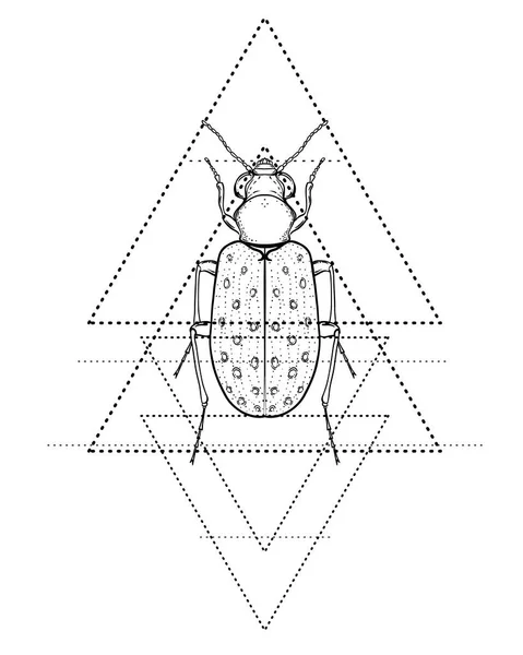 Escarabajo Blanco Negro Sobre Geometría Sagrada Ilustración Vectorial Aislada Esbozo — Vector de stock