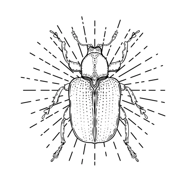 Escarabajo Blanco Negro Sobre Geometría Sagrada Ilustración Vectorial Aislada Esbozo — Vector de stock