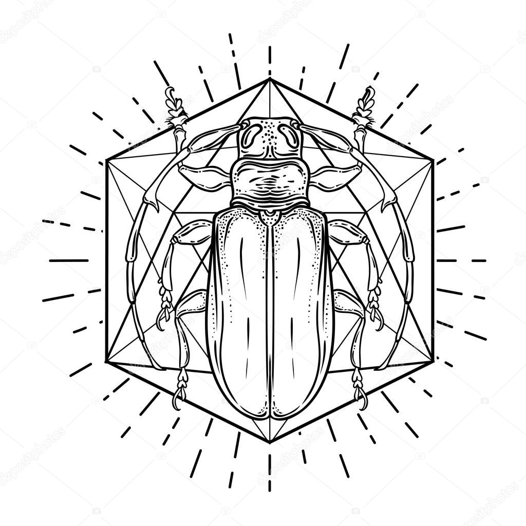 Black and white beetle over sacred geometry, isolated vector illustration. Tattoo sketch. Mystical symbols and insects. Alchemy, religion, occultism, spirituality, coloring book. Hand-drawn vintage.