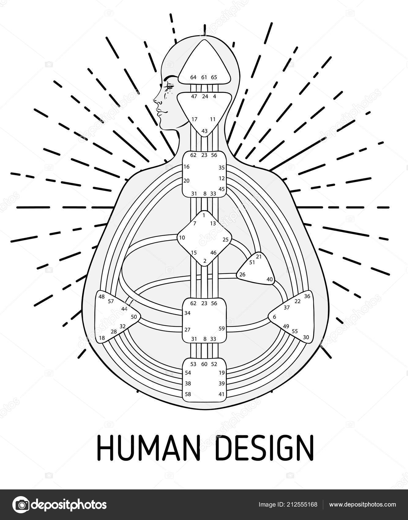 Human Design System Chart