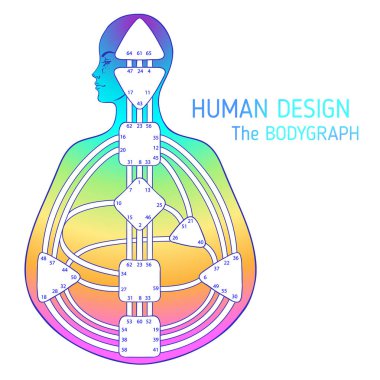 İnsan tasarım bodygraph grafik tasarım. Vektör illüstrasyon izole. Gates sistem boş şablon enerji merkezleri