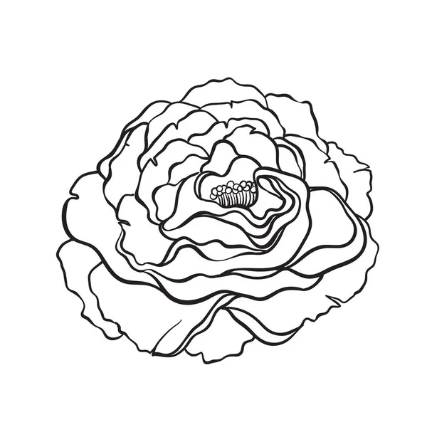 Rose Flower Tattoo Stijl Geïsoleerd Een Witte Achtergrond Vectorillustraties Romantische — Stockvector