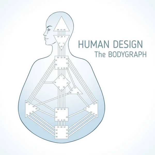 Menselijke Webdesign Ontwerp Voor Grafiek Van Bodygraph Geïsoleerd Vectorillustratie Energie — Stockvector