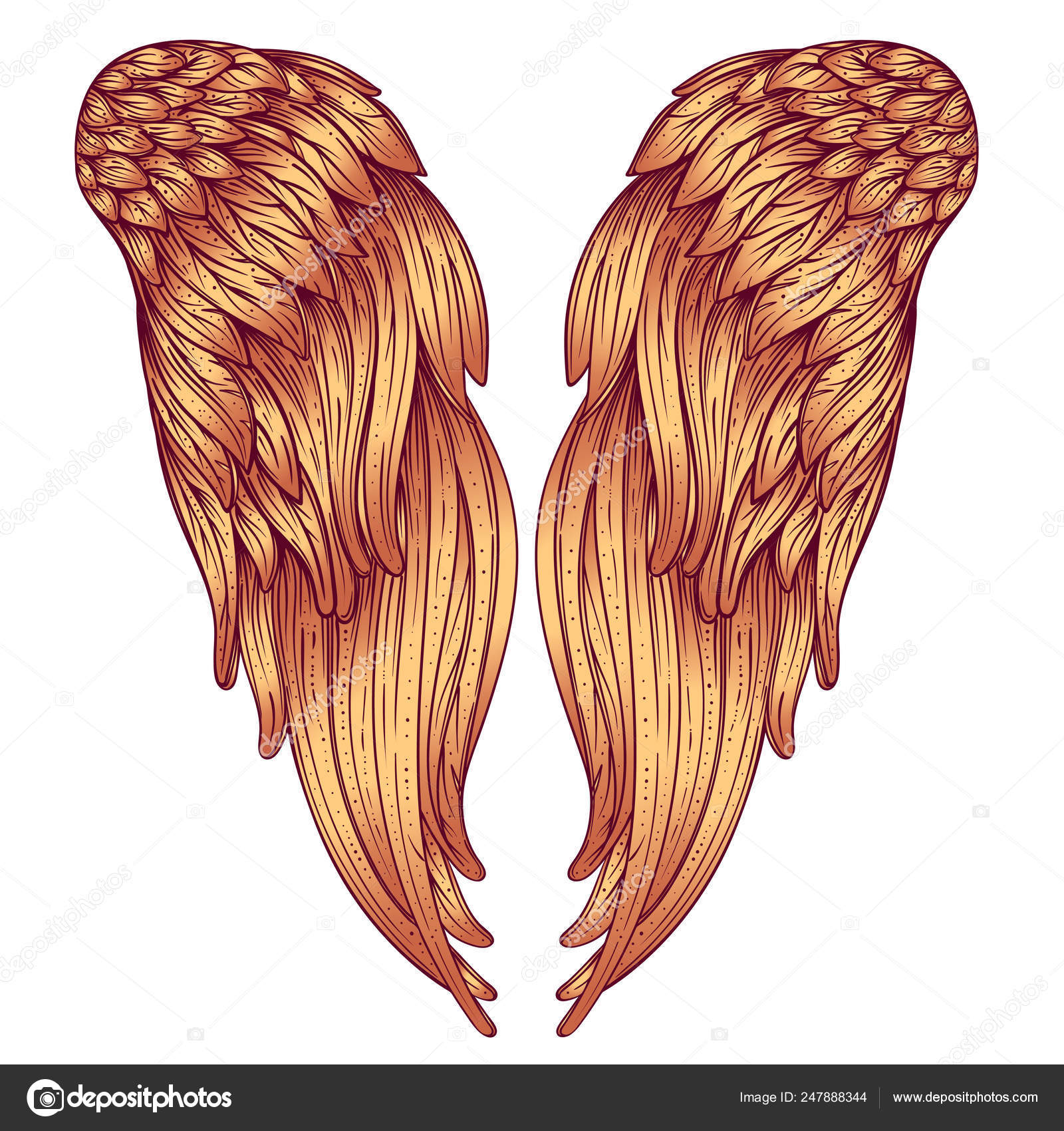 Angels Wings Ornamental Baroque Style Element Vector Illustration Tattoo  Template Stock Vector Image by ©vgorbash #247888344