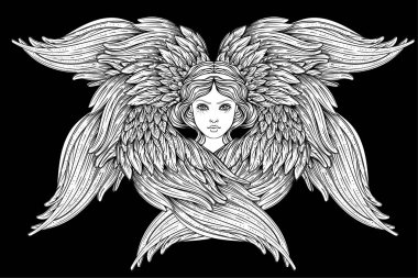 Seraph, altı kanatlı melek. Vektör illüstrasyon izole el çekilmiş. Hıristiyan angelology en yüksek rütbe. Trendy Vintage stil öğesi. Maneviyat, büyü, simya, büyü, aşk. Boyama kitabı.