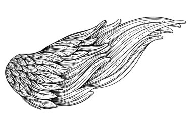 Meleklerin kanatları. Süs Barok stil öğesi. Vektör çizim. Dövme şablonu. Son moda el antika simgesi toplama çekilmiş. Vintage tasarım öğeleri.