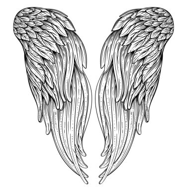 Meleklerin kanatları. Süs Barok stil öğesi. Vektör çizim. Dövme şablonu. Son moda el antika simgesi toplama çekilmiş. Vintage tasarım öğeleri.